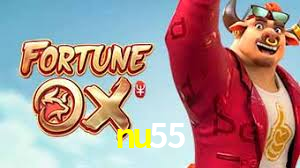 nu55 App Interface